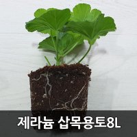 제라늄삽목용토 8L 삽목 잘되는 무비흙 제라늄전용