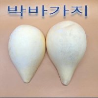 B550/인테리어소품/박바가지/표주박/함바가지  중  랜덤