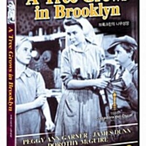 [DVD] 브룩클린의 나무 성장 [A Tree Grows in Brooklyn]