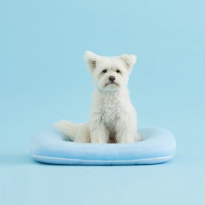 DUIT 두잇 썸머쿠션 강아지 여름 쿨매트 방석 대형