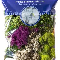 SuperMoss 7 59834 23310 이끼 자연모형재료 디오라마 프라모델