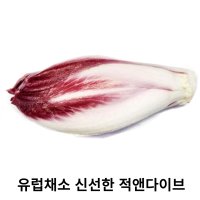 싱싱한 특품 적앤다이브 유럽 채소 100g 500g 1kg 적엔다이브 레드앤다이브 특이한 채소 샐러드채소 신선포장  1통 100g