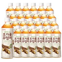 롯데칠성 잘빠진 하루 초가을 우엉차 x 24펫