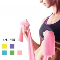 사레레 밴드 스트레칭 휴대용 고무 탄성 웨이트 운동 홈트 -블루