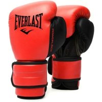 Everlast 에버라스트 파워락2 트레이닝 글러브 16온스