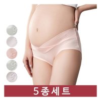 임산부 면 골반팬티 5종세트 임부속옷 8828 마미누리