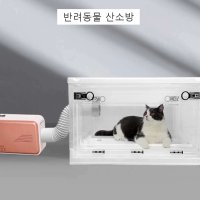 강아지산소방 펫오투 반려묘 반려견 아크릴 대중소형