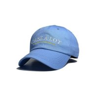 CASE A LOT 7 24 Arch logo ball cap - Sky 315153