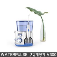 워터펄스 Waterpulse 구강세정기 V300 유럽버전