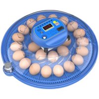 전자동 조류부화기 인큐베이터 분양 오리알 닭알 달걀