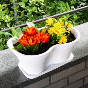 [플라팜] 오아시스 화분 받침형 2구(CN9316)