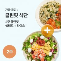 2주 클린핏 샐러드+라이스