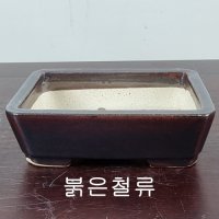 13 손바닥정원 소품사각형 분재화분 승전분 붉은철류