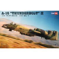 48 A-10 썬더볼트II 공격기 THUNDERBOLT II HBB80323 1