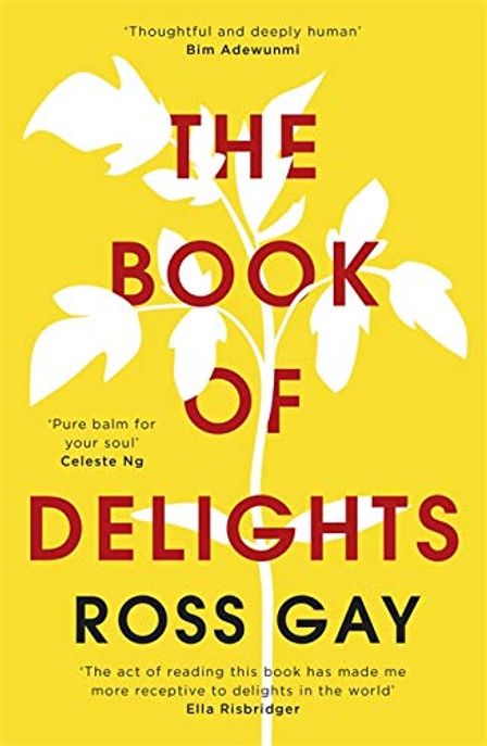 The Book of Delights (The life-affirming New York Times bestseller)