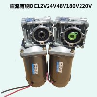 DC 웜기어 모터 600W 브러시 구멍 NMRV050 DC12V24V200V220V