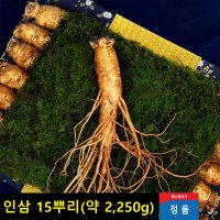 최고급 6년근 산삼 수삼 인삼 선물 어르신 부모님 선물 꽃인삼주 고급선물 한국인삼유통공사 한