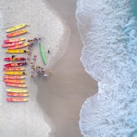 (4일전 예약 가능) 호주 골드코스트 돌고래와 함께 카약 타기: 반나절 가이드 투어(Kayak with the Dolphins: Half-Day Guided Tour)