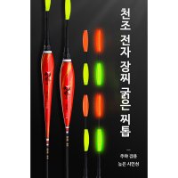 TD 중통 외통 전자찌 낚시 채비 65cm-50cm 장찌 전자찌 굵은 찌톱 장대 야광 민물  TD-02 2.4g