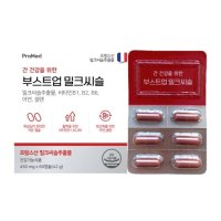 부스트업 밀크씨슬 450mg x 60캡슐