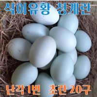 강원고성 자연방사 청란 (초란) 청계란 유정란 (난각1번)  20구  1개