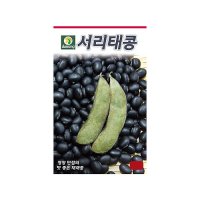 모두다 다농 채소씨 다농서리태씨앗 30g