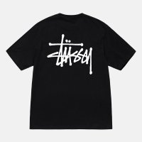 나이키 스투시 BASIC STUSSY 반팔티