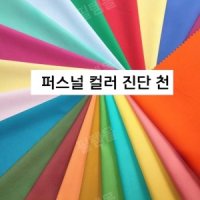 퍼스널컬러 진단 천 드레이프 키트 심리 컬러 테스트 20색