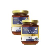 ORONIA Blueberry Honey 오로니아 블루베리 허니 꿀 500g 2팩