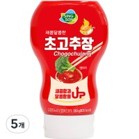 신송 새콤달콤한 초고추장  380g  5개