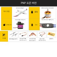 rc 비행기 날개 대형 항공기 원격 입문 경비행기 PNP 버전 표준 구성 주니어 파워 패키지