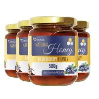 캐나다 오로니아 블루베리 허니 꿀 500g 4팩 ORONIA Blueberry Honey