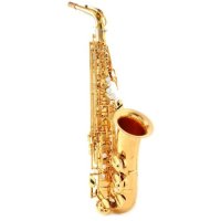 [관부가세포함] Selmer Paris 92 Supreme Professional Alto Saxophone - Gold-Plated