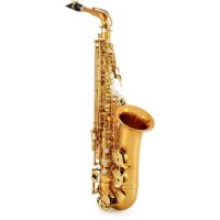 [관부가세포함] Selmer Paris 92 Supreme Professional Alto Saxophone - Dark Gold Lacquer