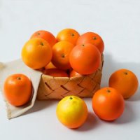 10개 세트 시뮬레이션 오렌지 노랑 주황색 컬러 모형