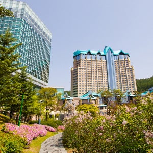 강원랜드호텔 [컨벤션호텔] SPD 슈페리어 더블 2인기준