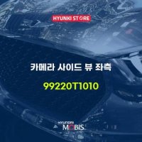 현대모비스카메라 사이드 뷰 좌측 (99220T1010)