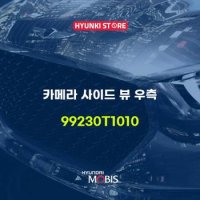 현대모비스카메라 사이드 뷰 우측 (99230T1010)