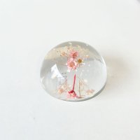 플라워 문진 D 스타플라워 starflower paperweight