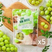 [업체발송]흥국 냉동 청포도 SWEET 1kg 5개