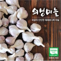 한지형 의성마늘 3kg  햇마늘 산지직송 (중)130-150개