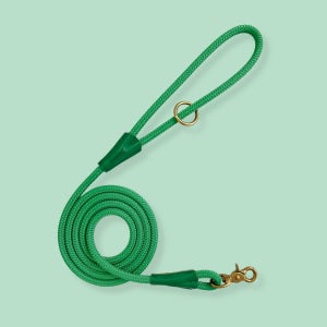 그린 시그니처 가죽 로프 핸즈프리 강아지 리드줄, 다하운드 (Dahound)