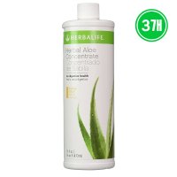 3개 Herbalife 알로에 드링크 망고맛 473ml