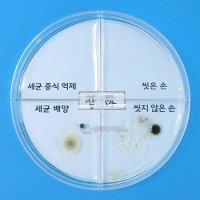 SA 세균 배양과 증식 억제실험하기(4인 세트) 손씻기 위생건강교육 박테리아 바이러스 샬레 화학