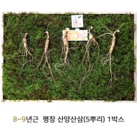 발효 평창 산양삼 산삼 특이사포닌 알지쓰리 컴파운드k 8-9년근 5뿌리