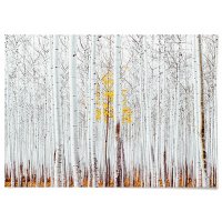 텐바이텐 패브릭 숲 포스터 자작나무 그림 풍경 사진