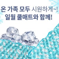 일월 일월 애묘 쿨매트 생활방수 냉감젤매트 mm 400X250