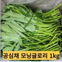 공심채1kg 당일수확 당일발송 모닝글로리 채소 야채 중국 태국 베트남  1kg  1개