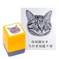 반려동물 스탬프 사진 소장품