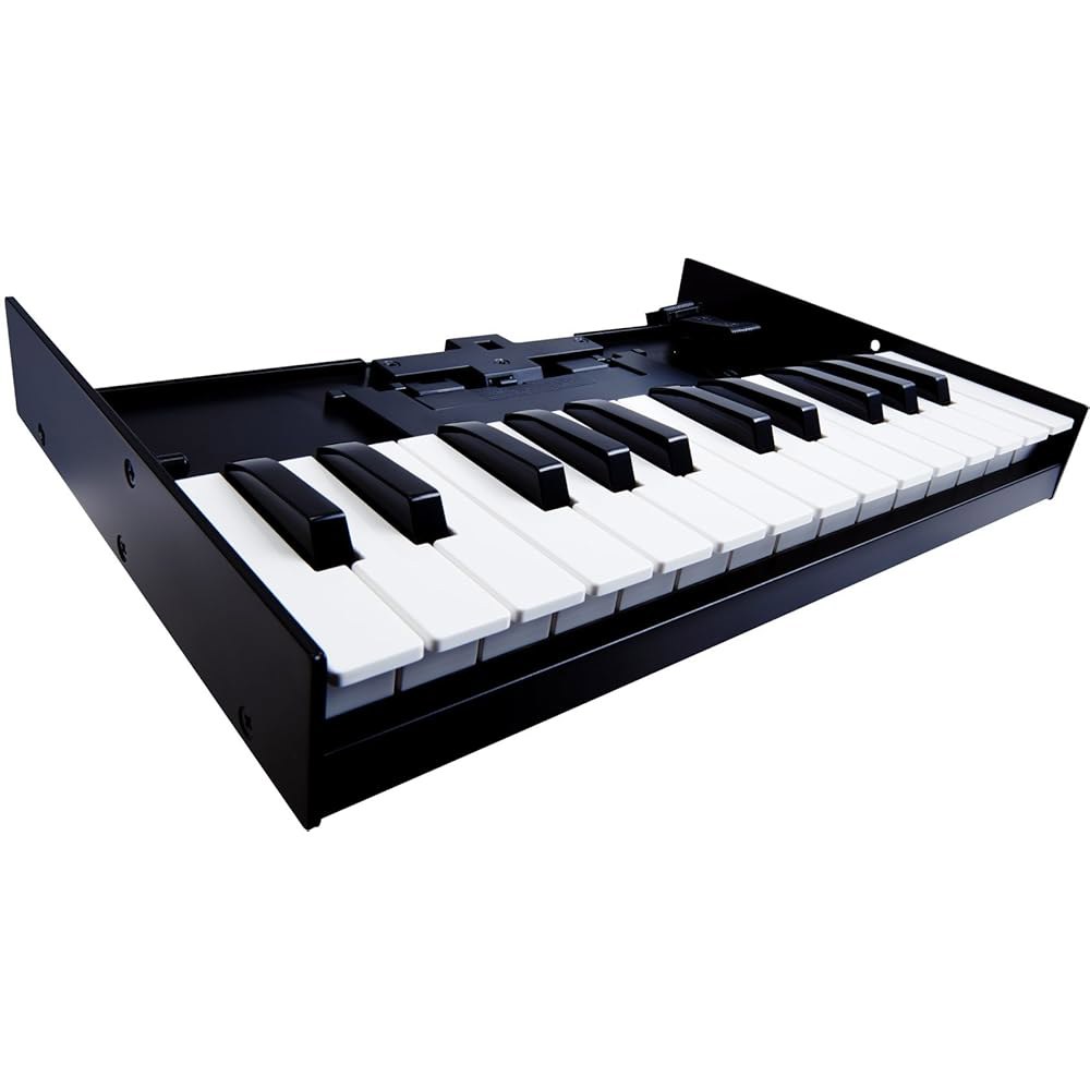 Roland 롤랜드 Keyboard Unit Roland Boutique 시리즈 전용 키보드 K-25M